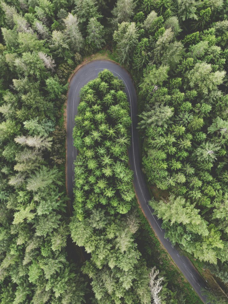 a winding road in the middle of a forest