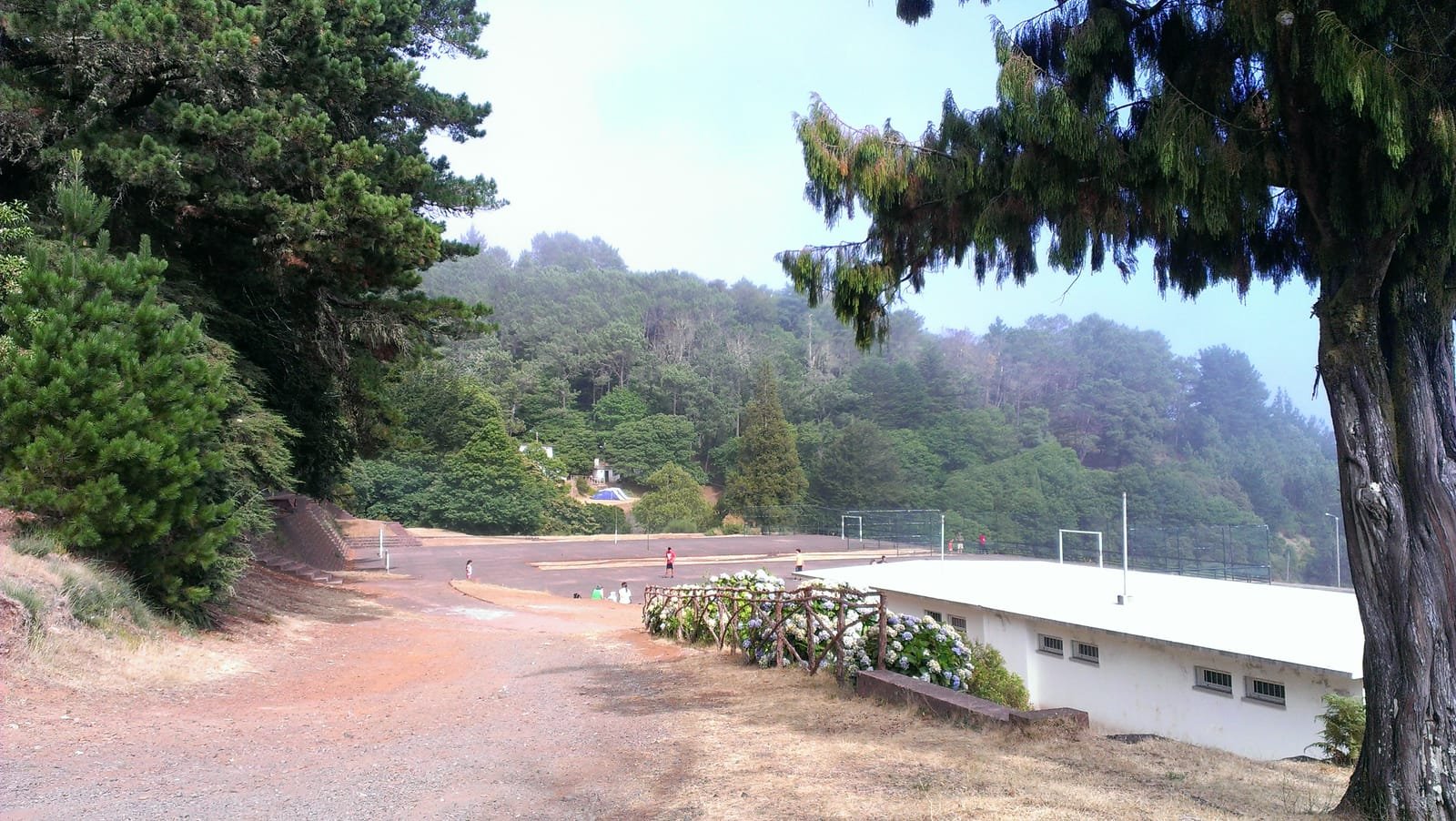Montado do Pereiro 4