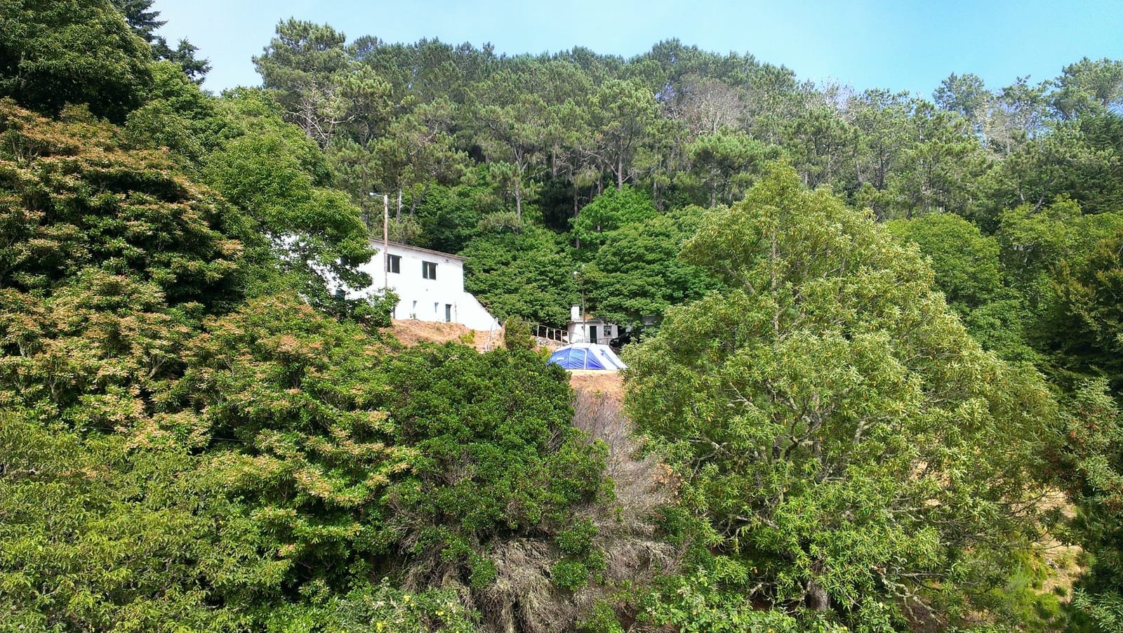 Montado do Pereiro 9