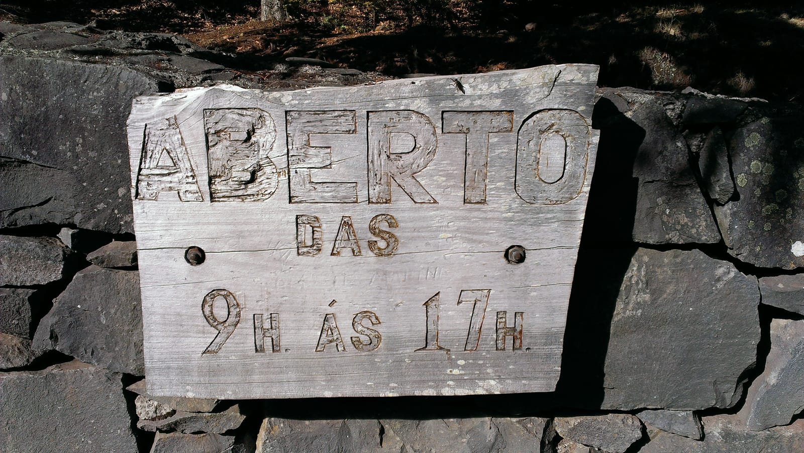 Montado do Pereiro 2