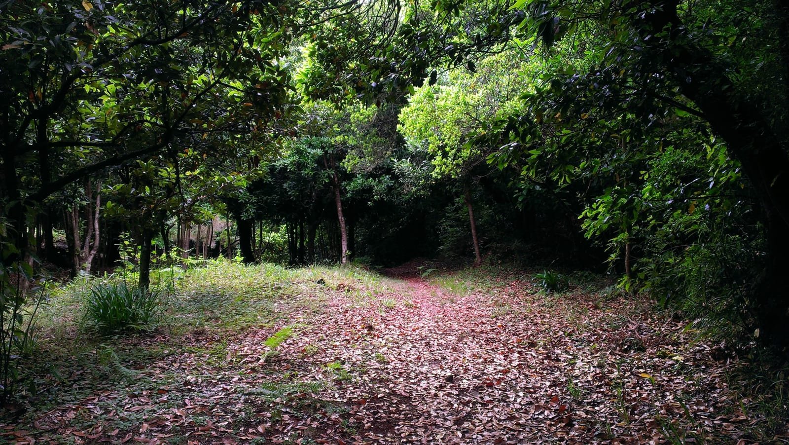 Chão dos Louros 5