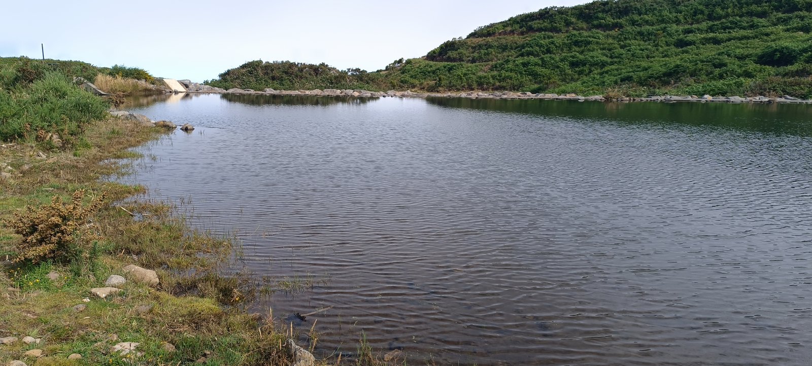 A Family Camping Weekend at Ribeira do Alecrim, Madeira