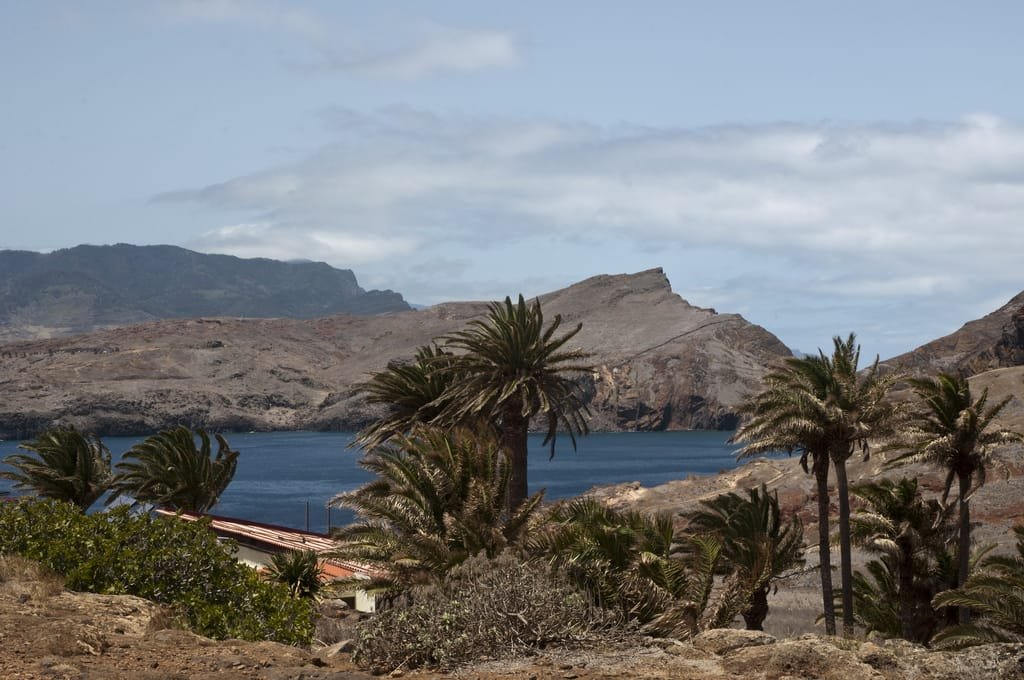 Ponta de São Lourenço 18