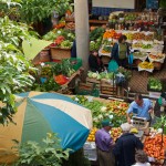 All about camping in Madeira | Madeira