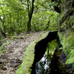 All about camping in Madeira | Madeira