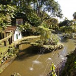 All about camping in Madeira | Madeira