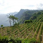 All about camping in Madeira | Madeira
