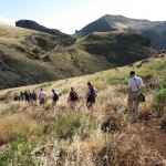 All about camping in Madeira | Madeira