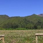 Chão das Feiteiras 7