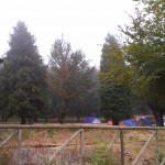 Chão das Feiteiras 8