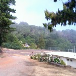 Montado do Pereiro 8