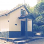 Montado do Pereiro 9