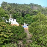 Montado do Pereiro 12