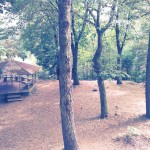 Montado do Pereiro 14