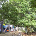 Montado do Pereiro 17