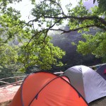 Montado do Pereiro 5