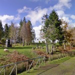 Chão das Feiteiras 11