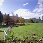 Chão das Feiteiras 4