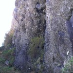 Caramujo 3