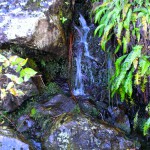 Caramujo 5