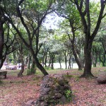Chão dos Louros 7