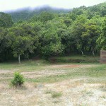 Chão dos Louros 11