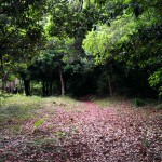 Chão dos Louros 13