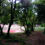 Chão dos Louros 15