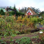 Parque Florestal do Pico das Pedras 3