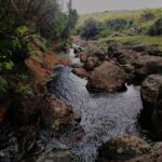 Ribeira do Alecrim Ribeira do Alecrim